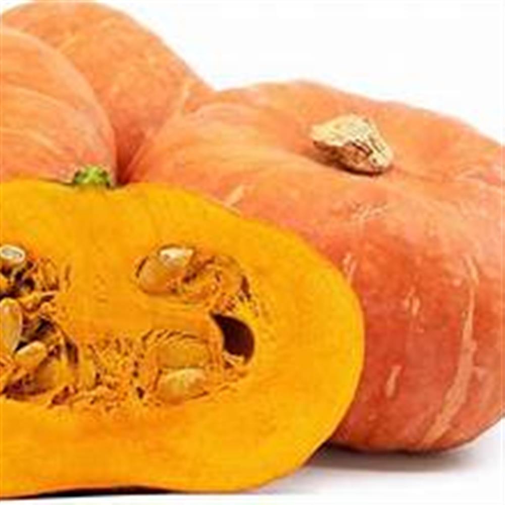 Winter Squash Sunshine COG