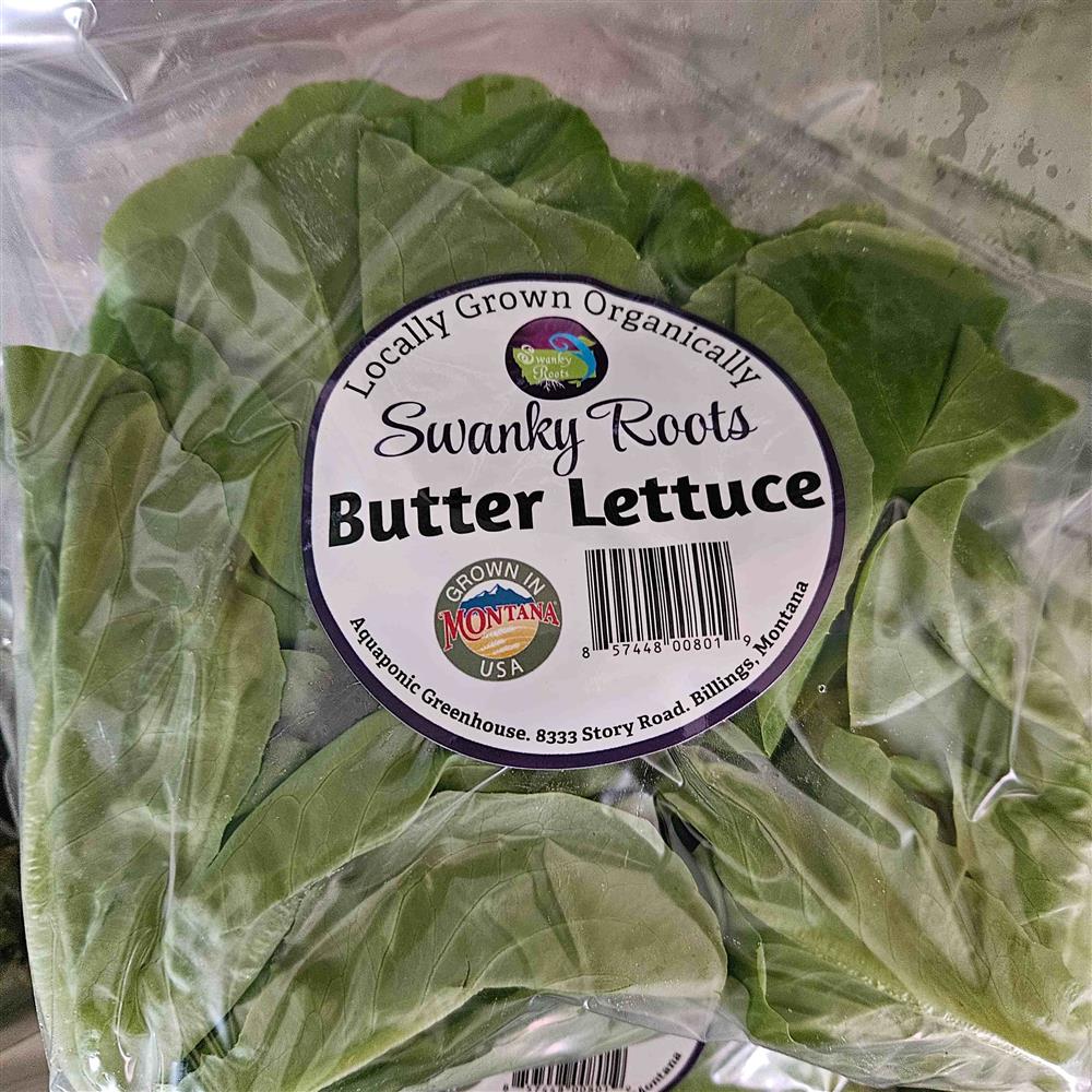 Lettuce, Butter Head