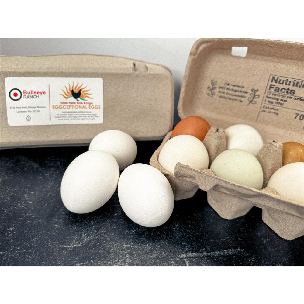 Egg cartons and white and brown eggs
