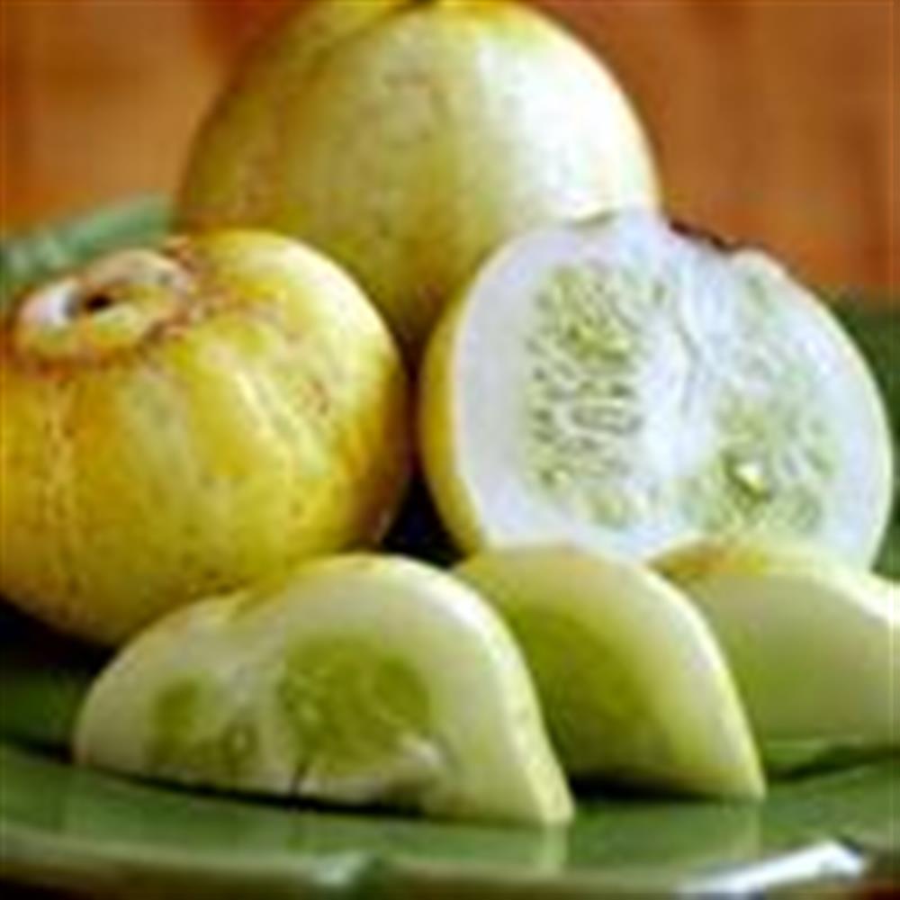 Cucumber, Lemon