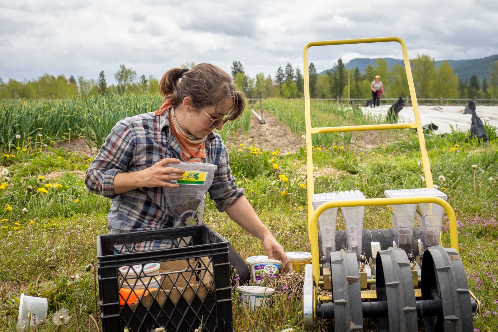 A farm worker handles seed containers beside a yellow field seeder, with planted rows behind.