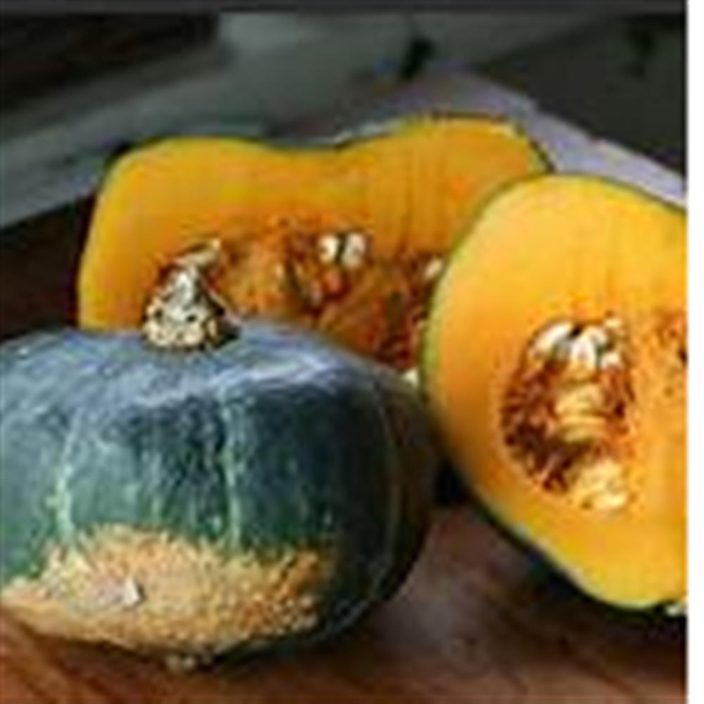 Winter Squash Buttercup COG