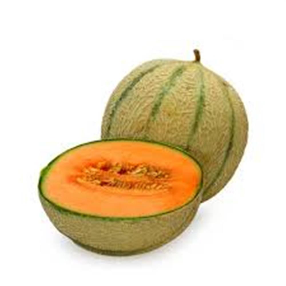 Melon, Cantaloupe