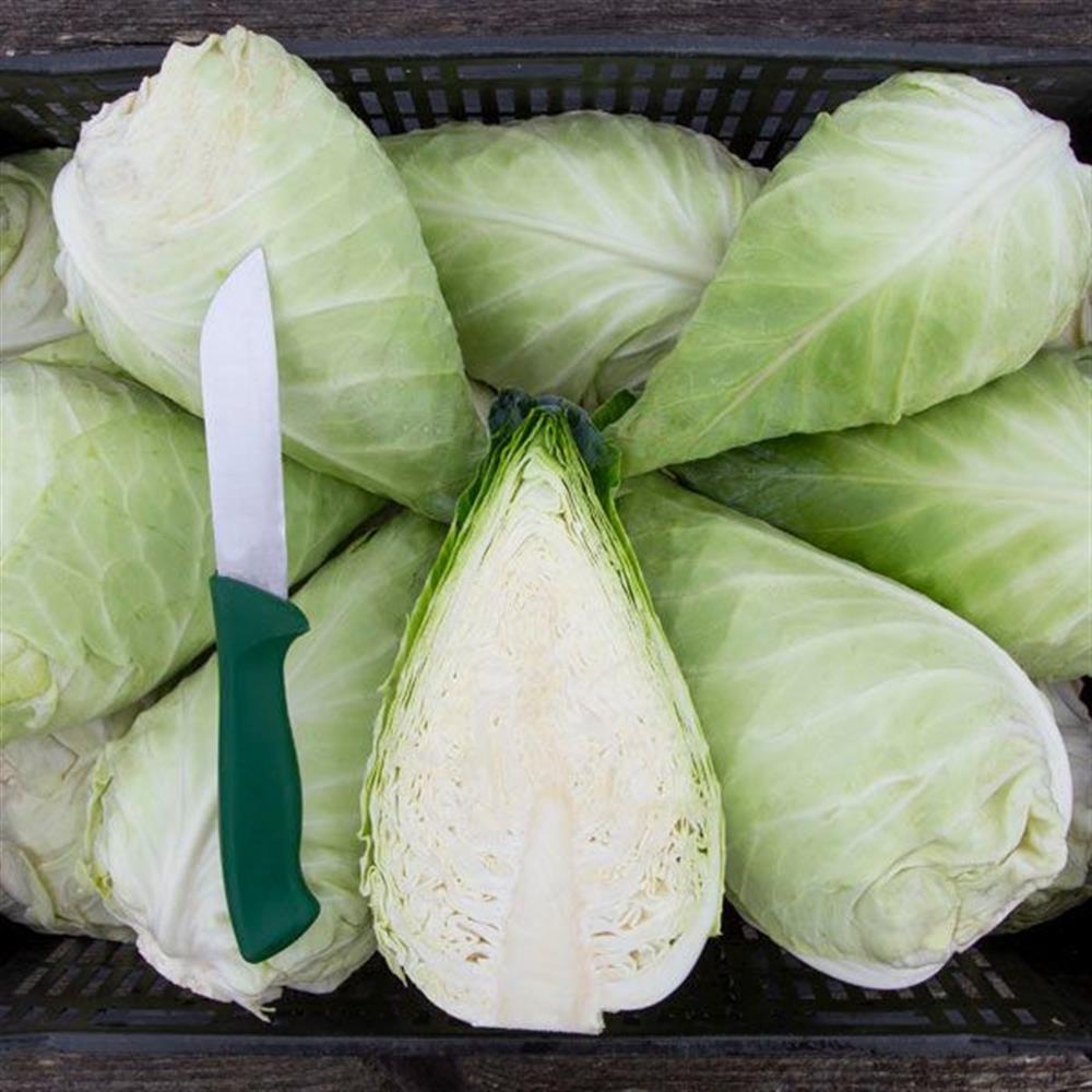 Cabbage, Caraflex