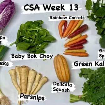 Winter Kissed Farm's example winter CSA vegetables.