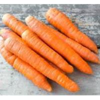 Carrots, Bulk