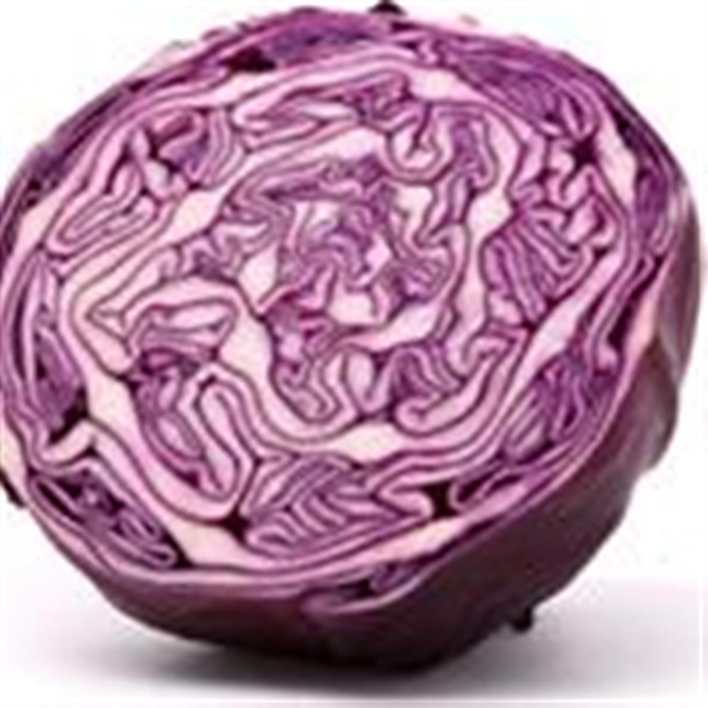 Cabbage, Red