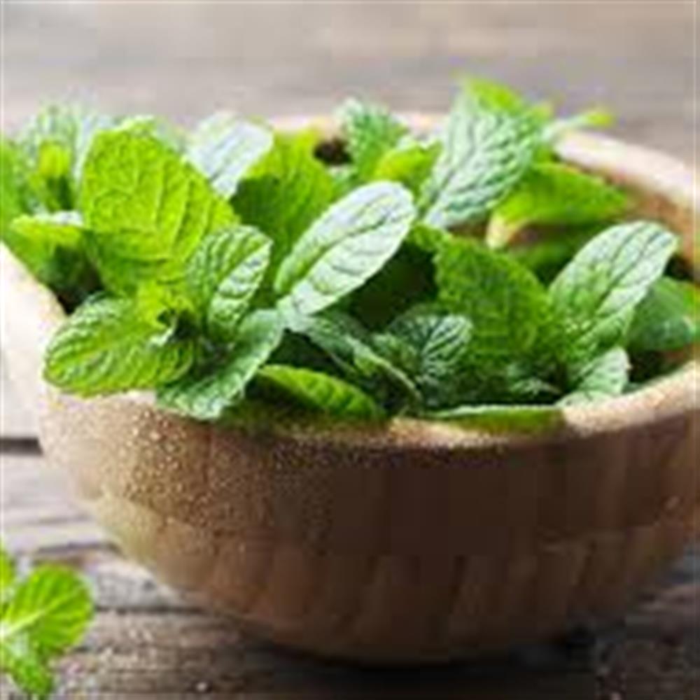 Mint