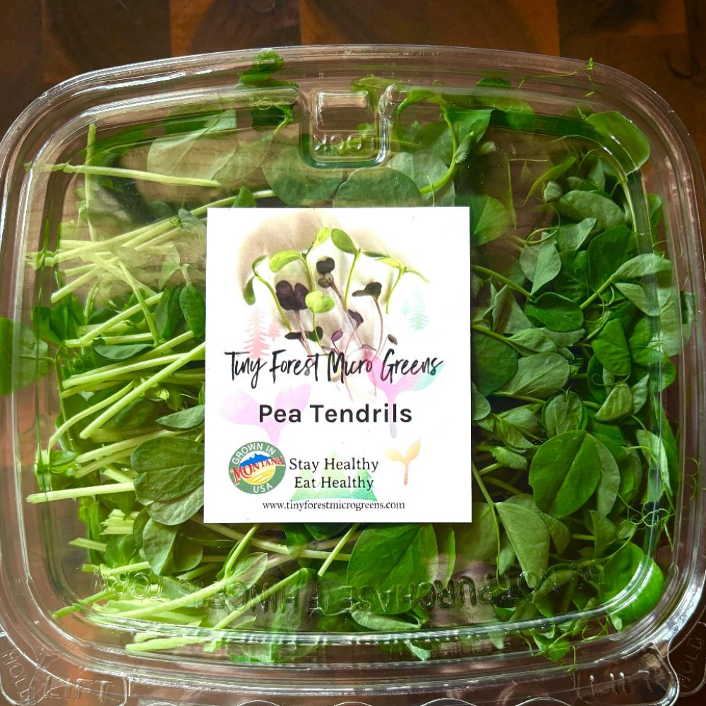 Pea tendrils in a labeled Tiny Forest Microgreens container