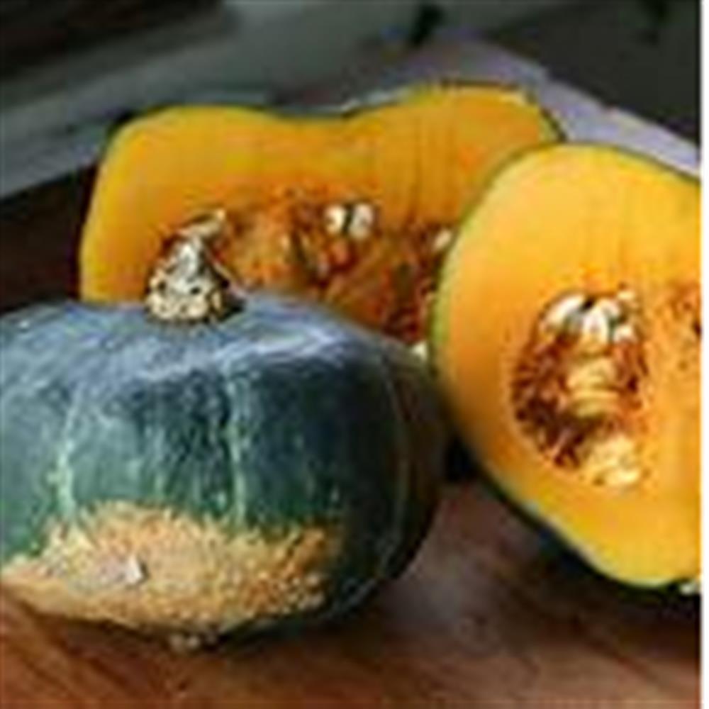 Winter Squash Buttercup COG