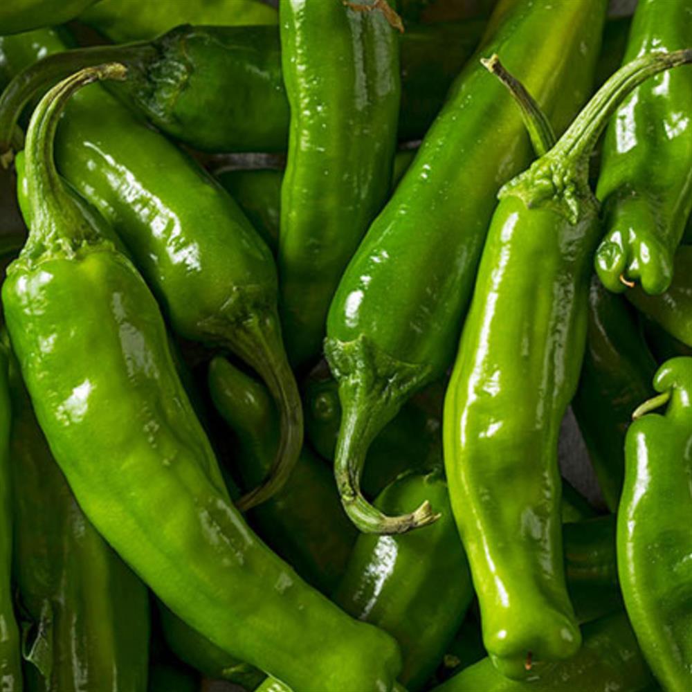 Pepper, Shisihto