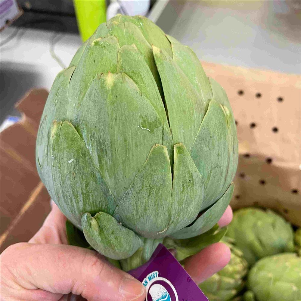 Artichokes