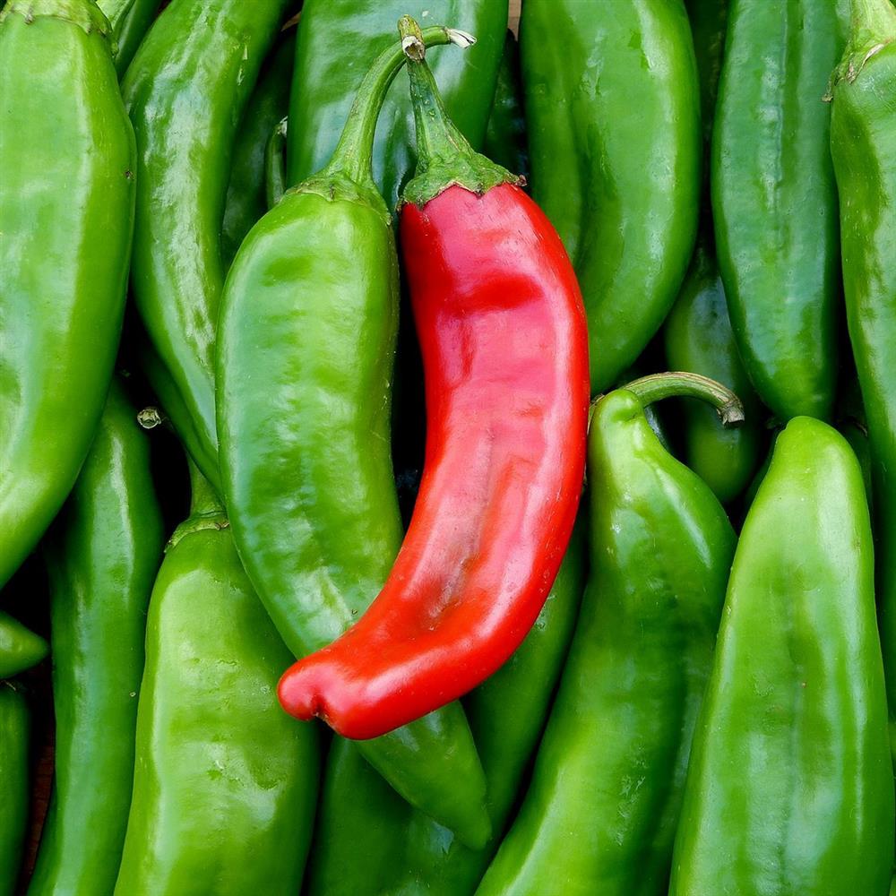 Peppers, Hatch Chile