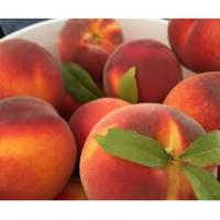 Peaches, Yellow