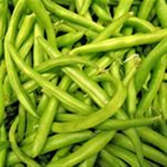 Beans, Green