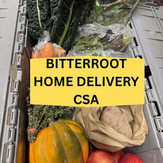 Winter Kissed Farm's example Bitterroot home-delivery CSA vegetables.