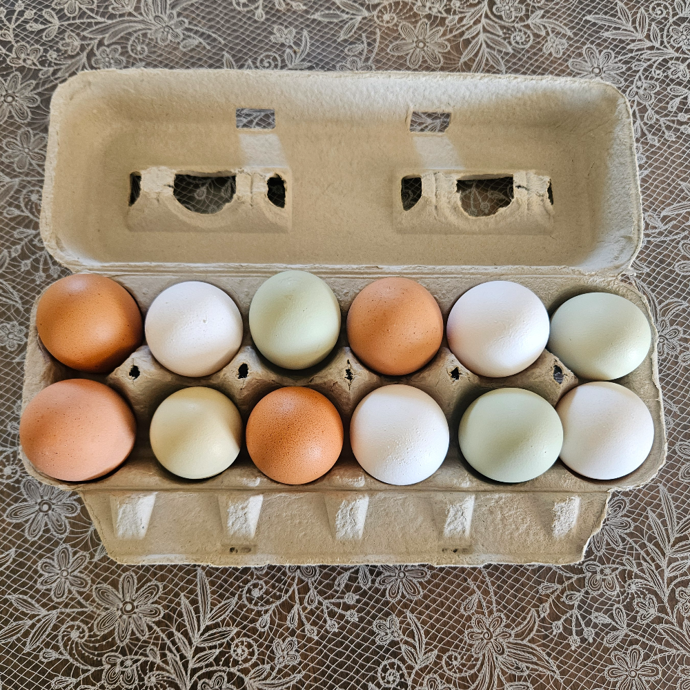 Mixed-color eggs in an open carton