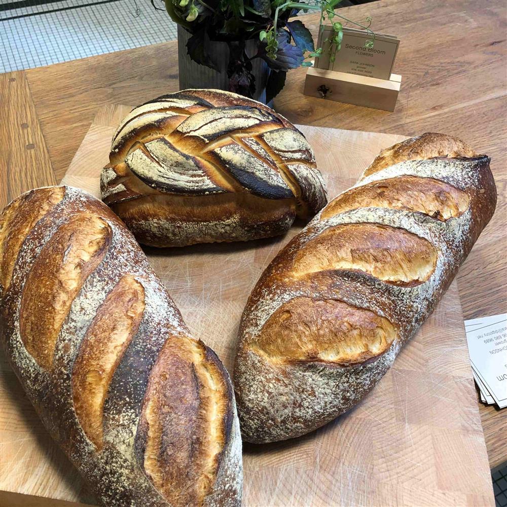 Round and long crusty bread loaves
