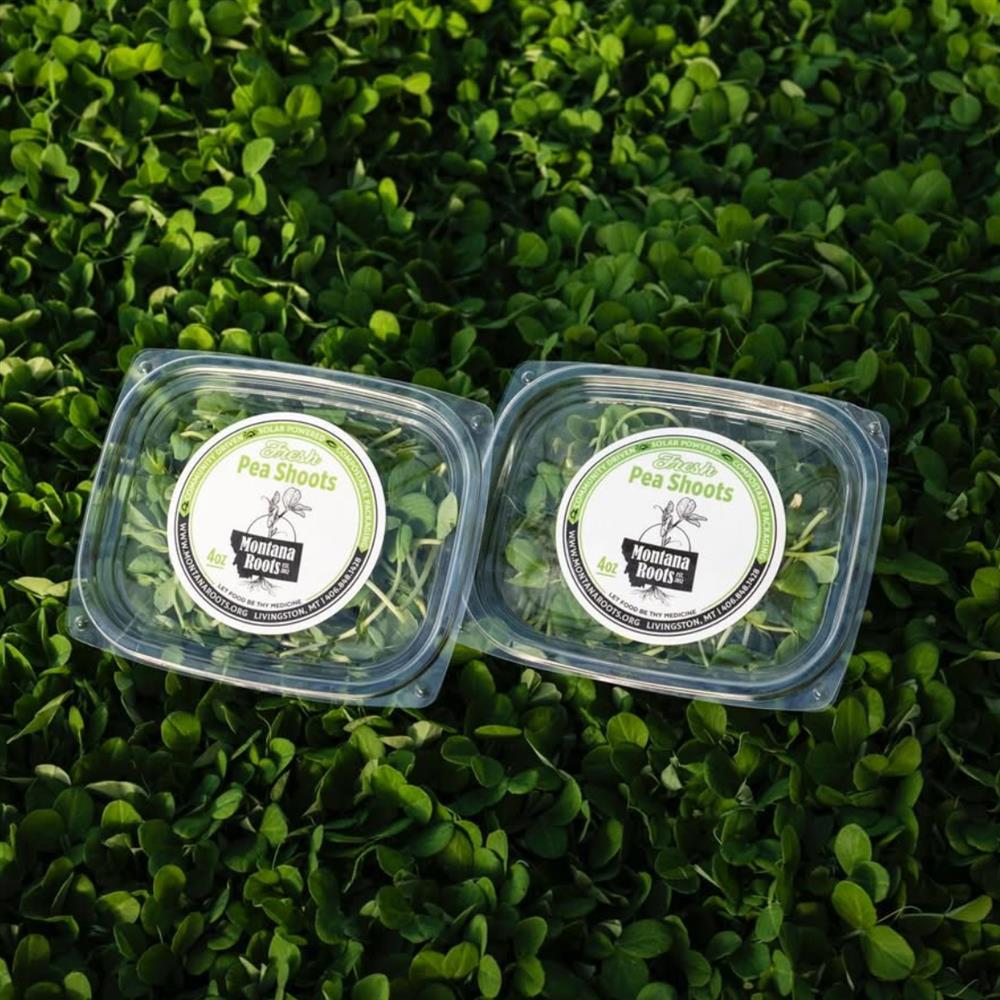Microgreens, Pea Shoots