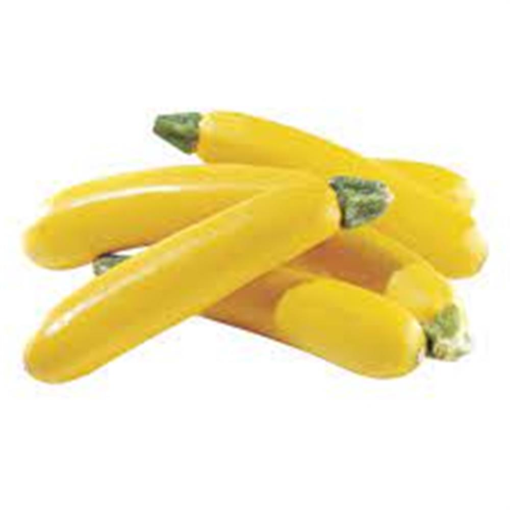 Summer Squash, Yellow Zucchini
