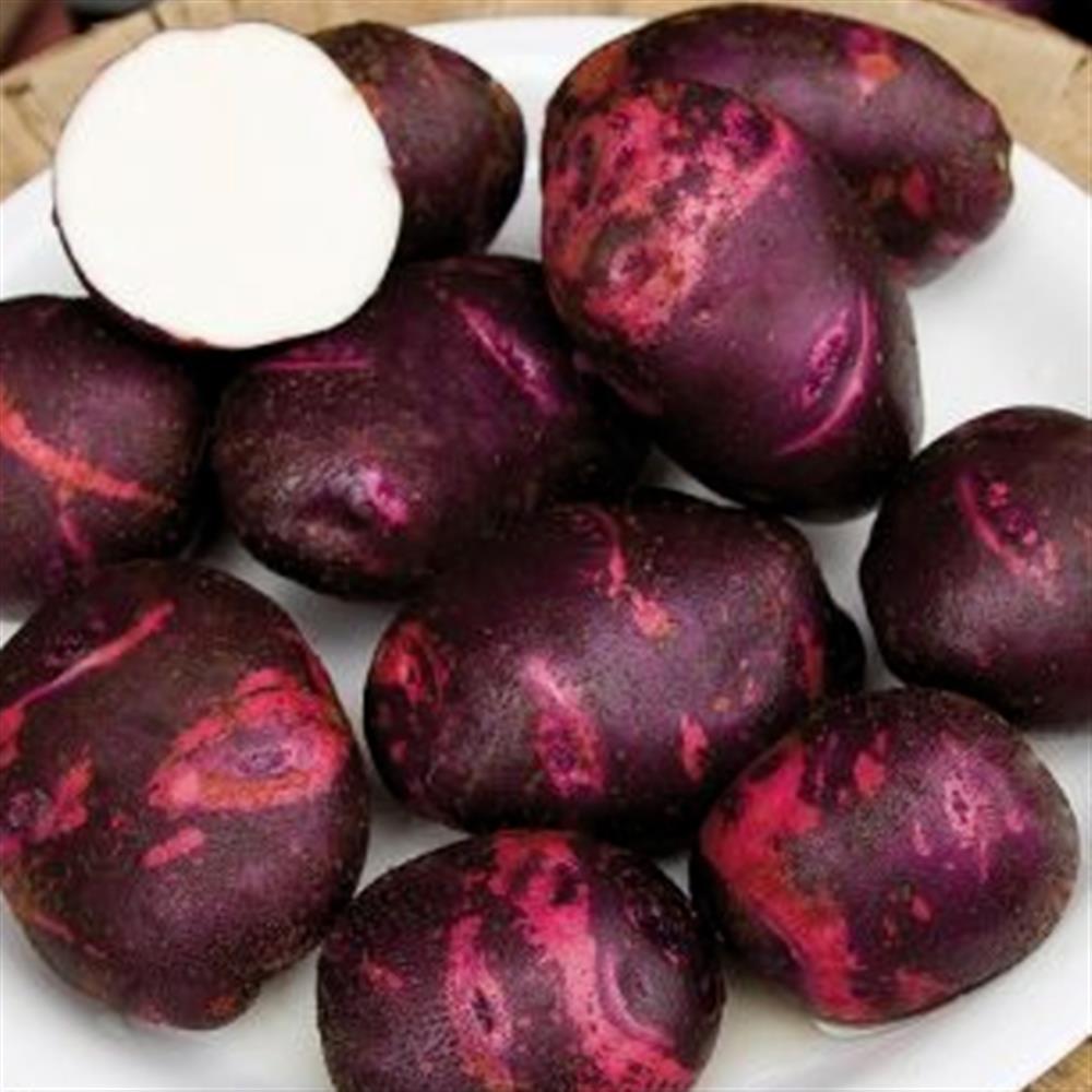 Purple-skinned potatoes, including one cut open to show white flesh.
