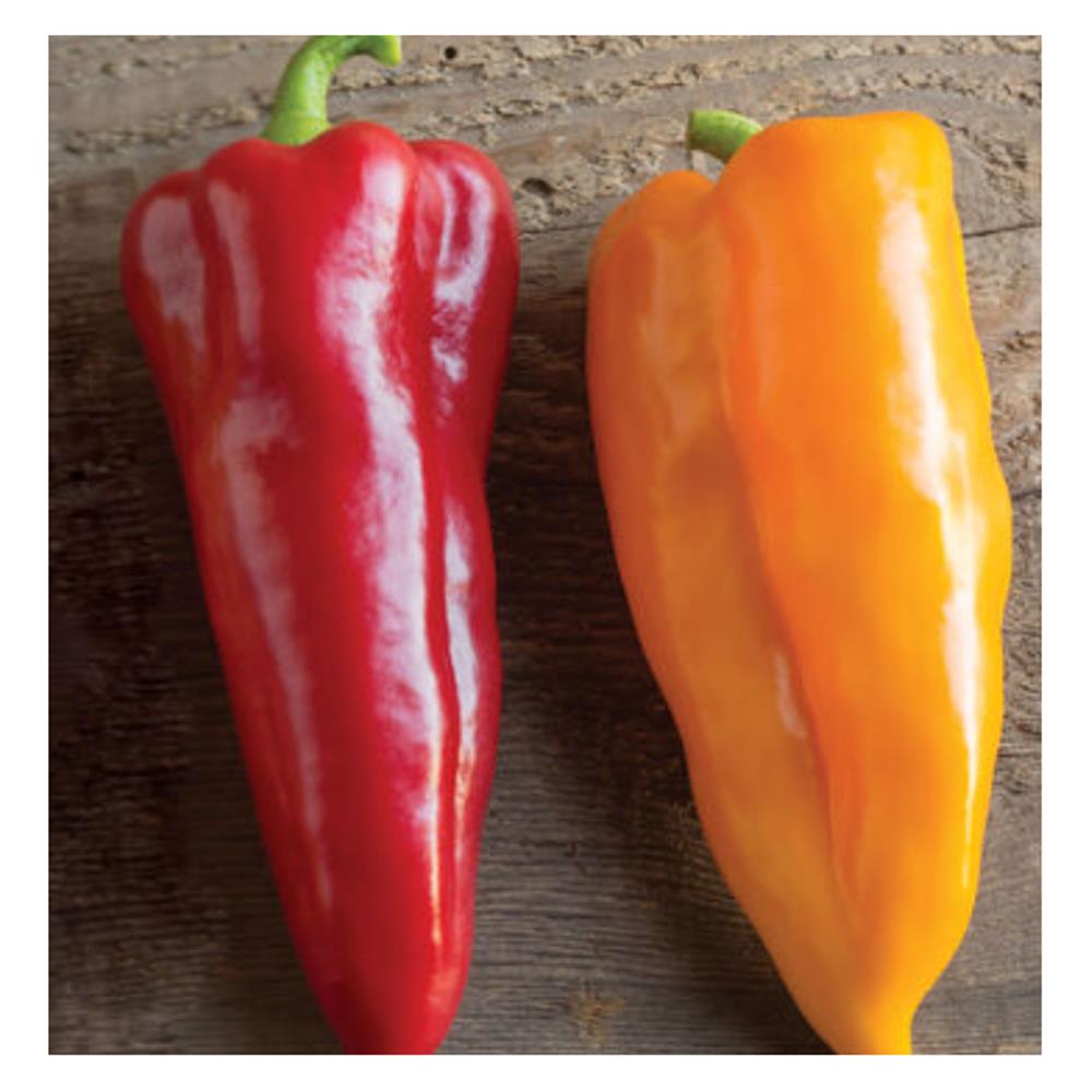 One red and one yellow elongated sweet pepper on a wooden surface.