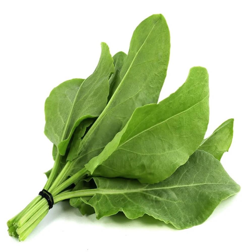 Sorrel