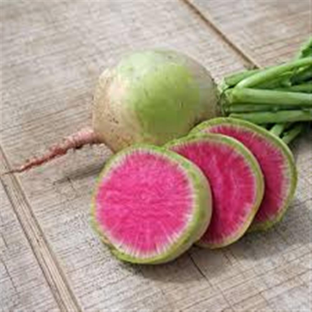 Radish, Watermelon