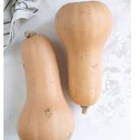 Winter Squash, Butternut