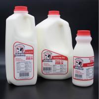 Milk, Whole