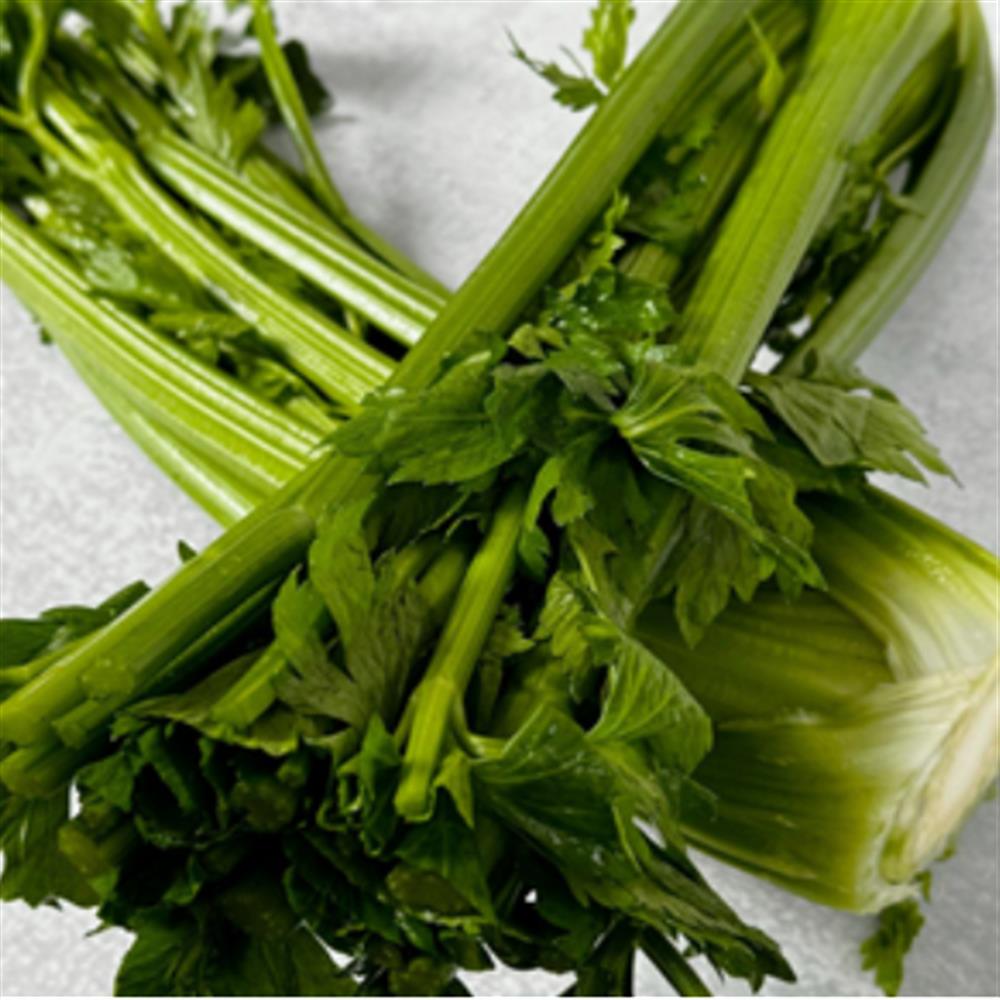 Celery