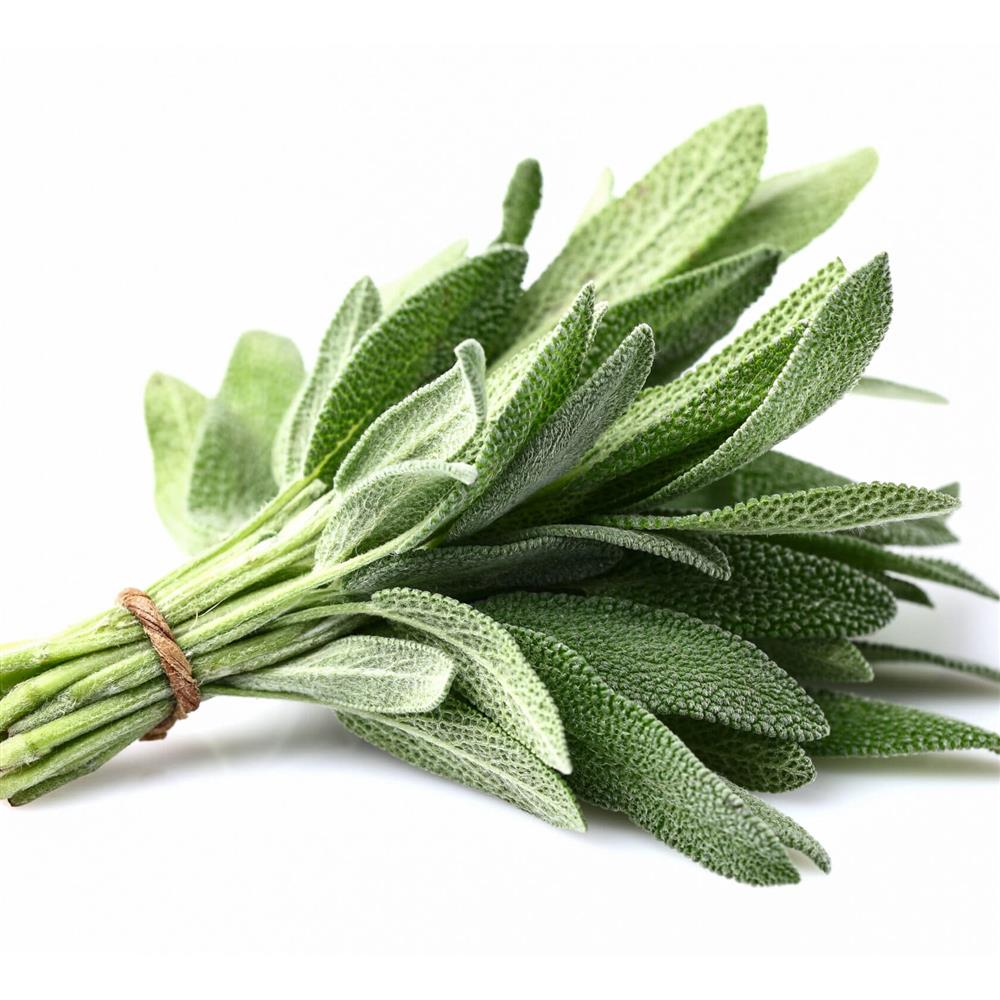Sage