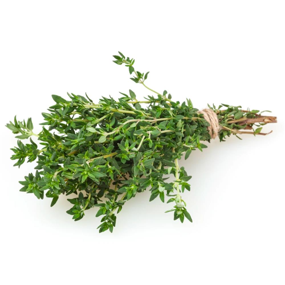 Thyme