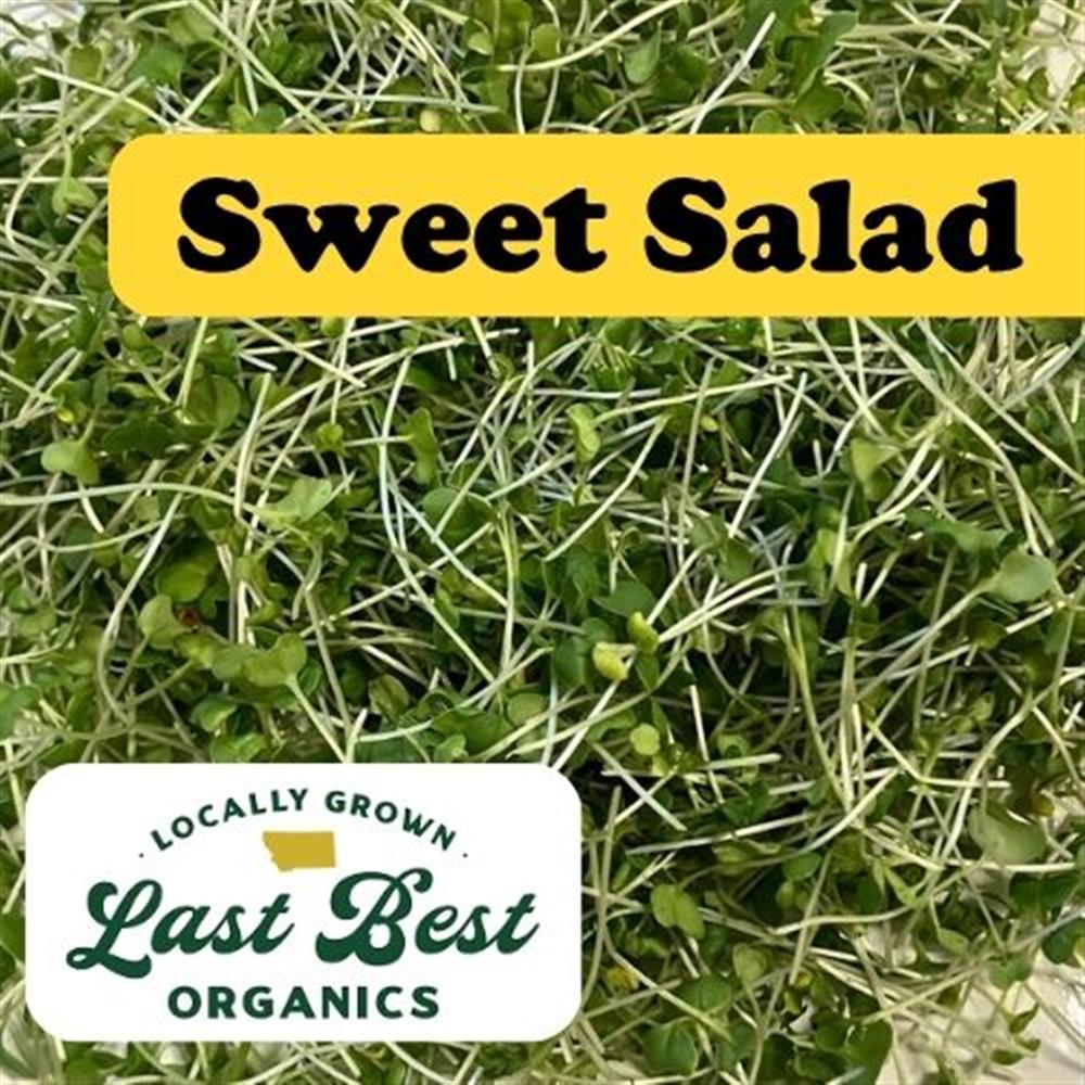 Microgreens Sweet Salad Mix COG
