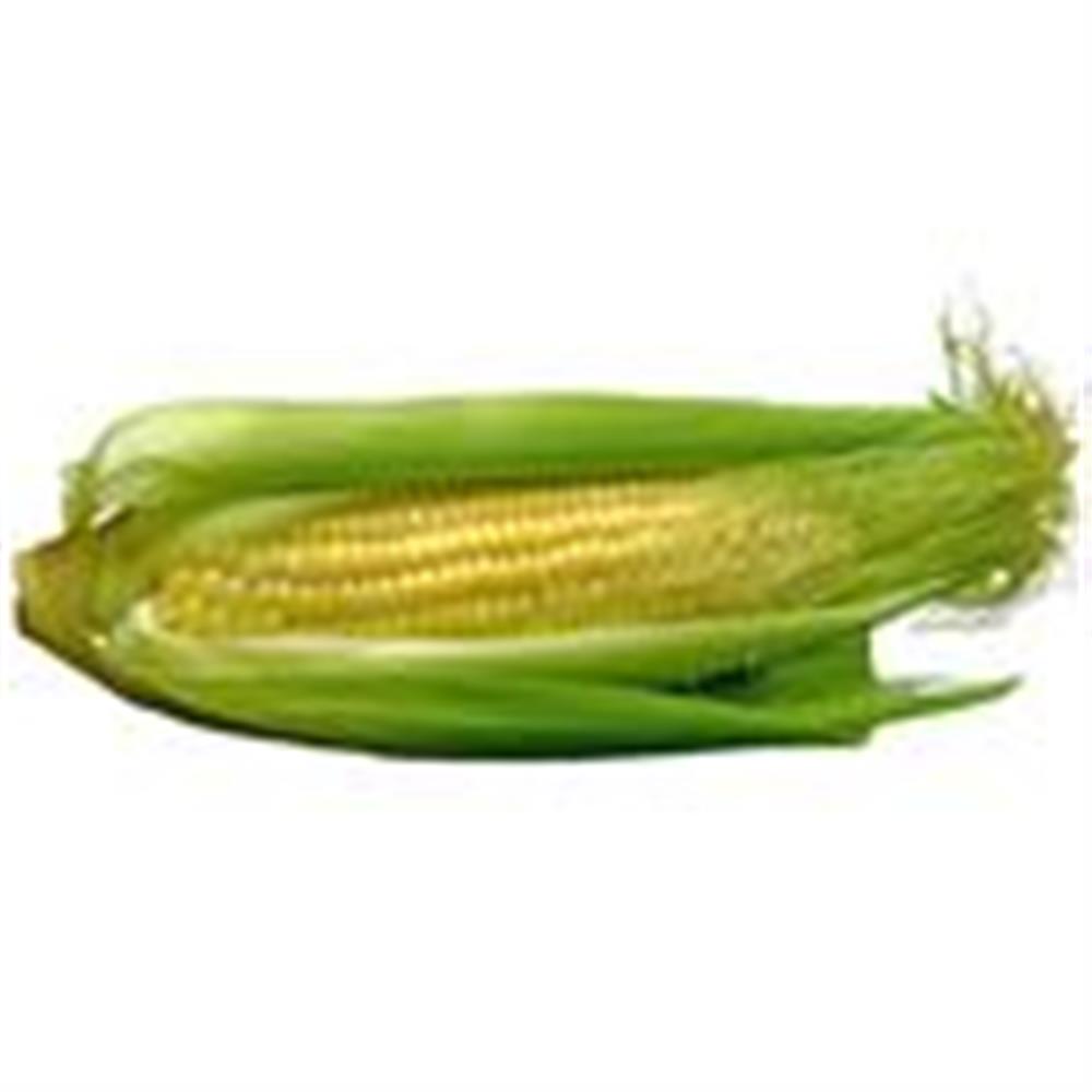 Corn, Sweet