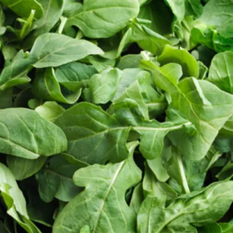 Arugula