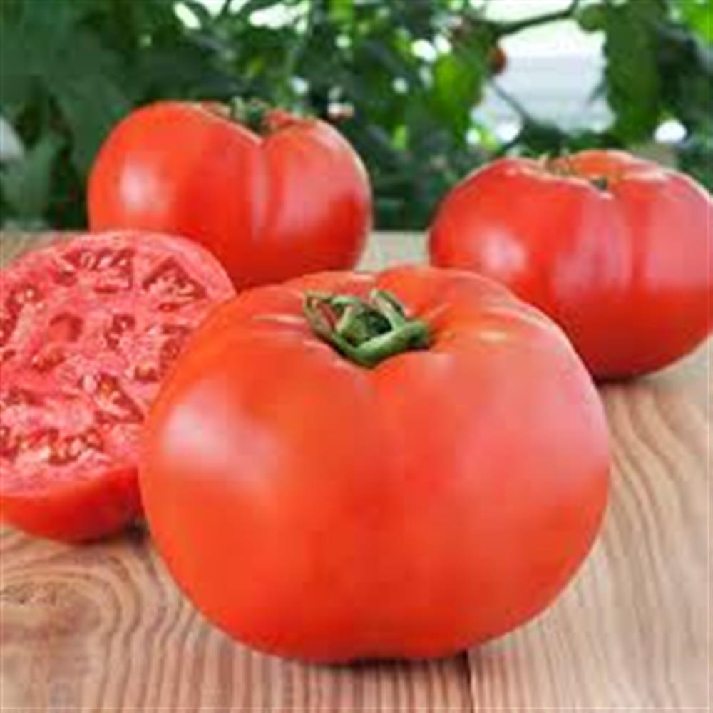 Tomatoes, Slicers