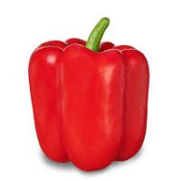 Peppers, Red Bell