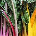 Chard Rainbow COG