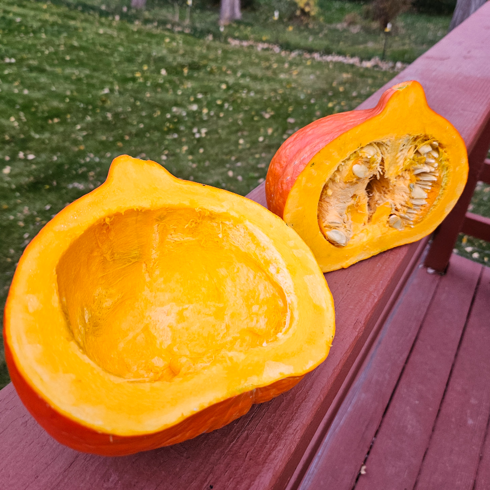Orange winter squash cut in half