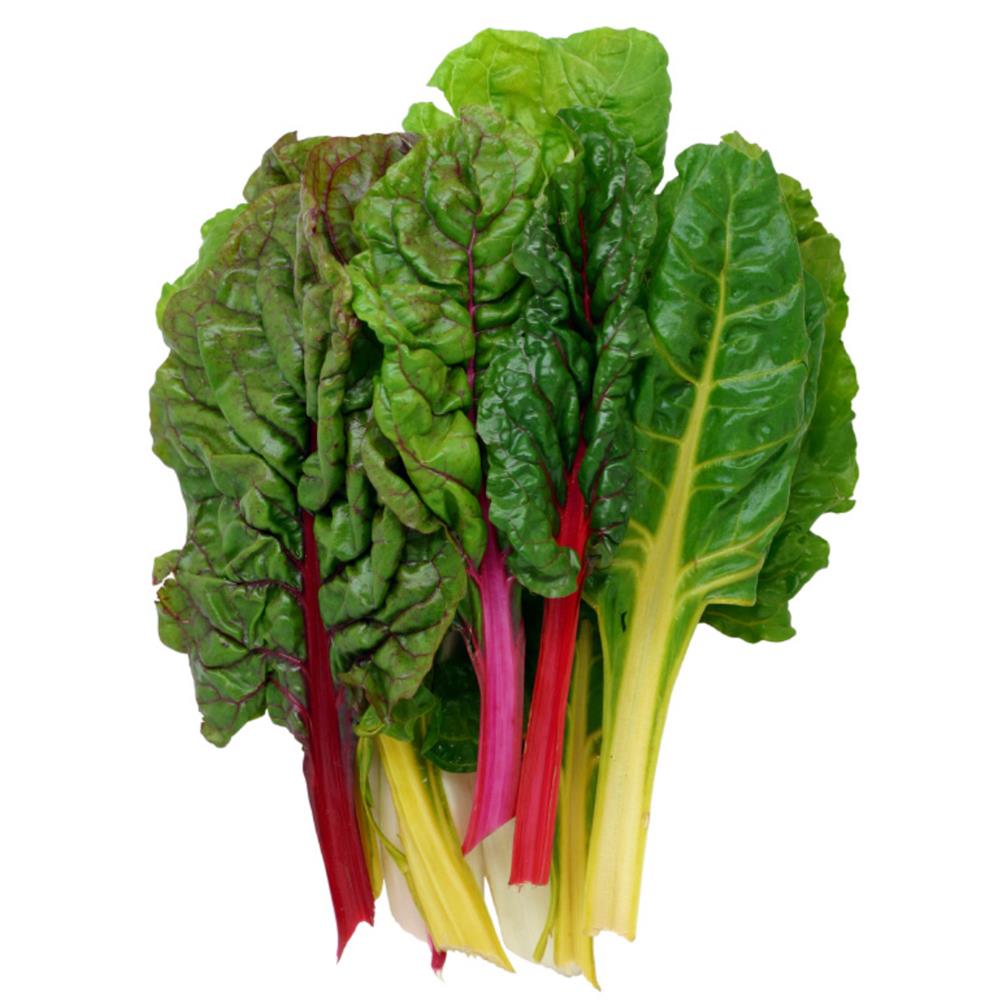 Chard, Rainbow