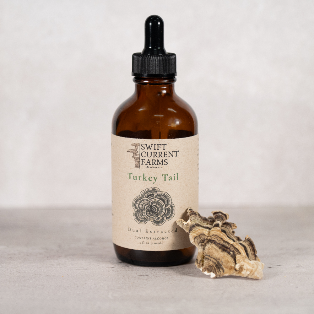 A Swift Current Farms turkey tail tincture bottle beside a mushroom.