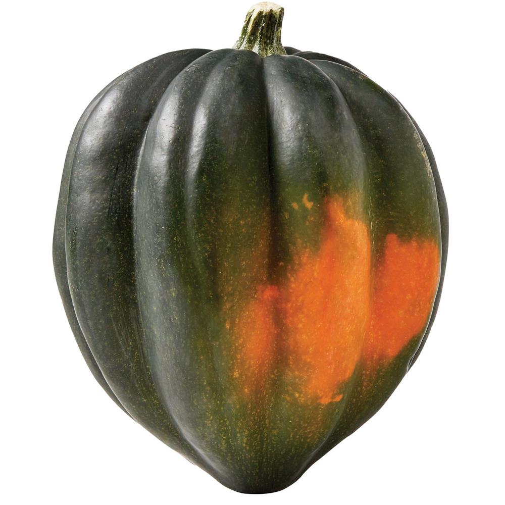 Winter Squash Acorn COG