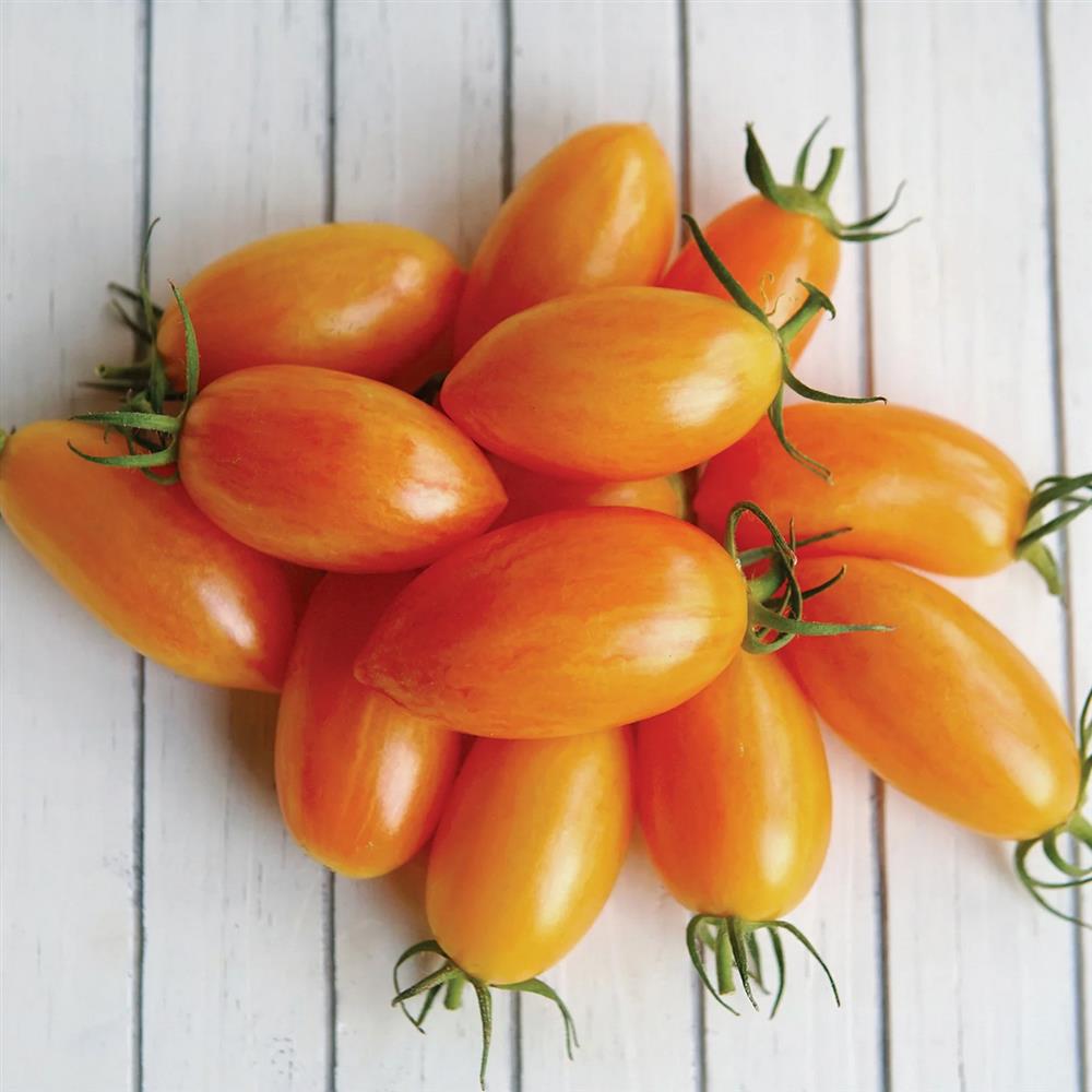 Tomatoes, Saladette Mix