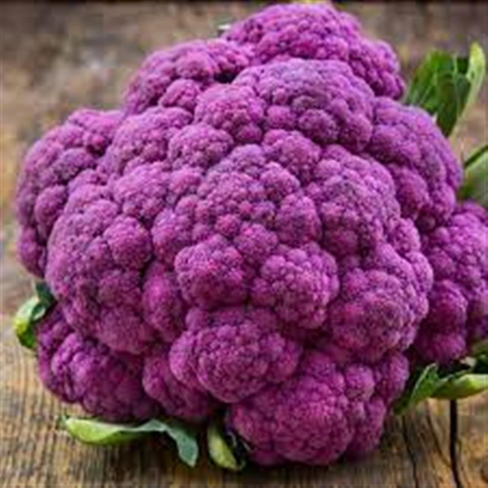 Cauliflower Purple COG