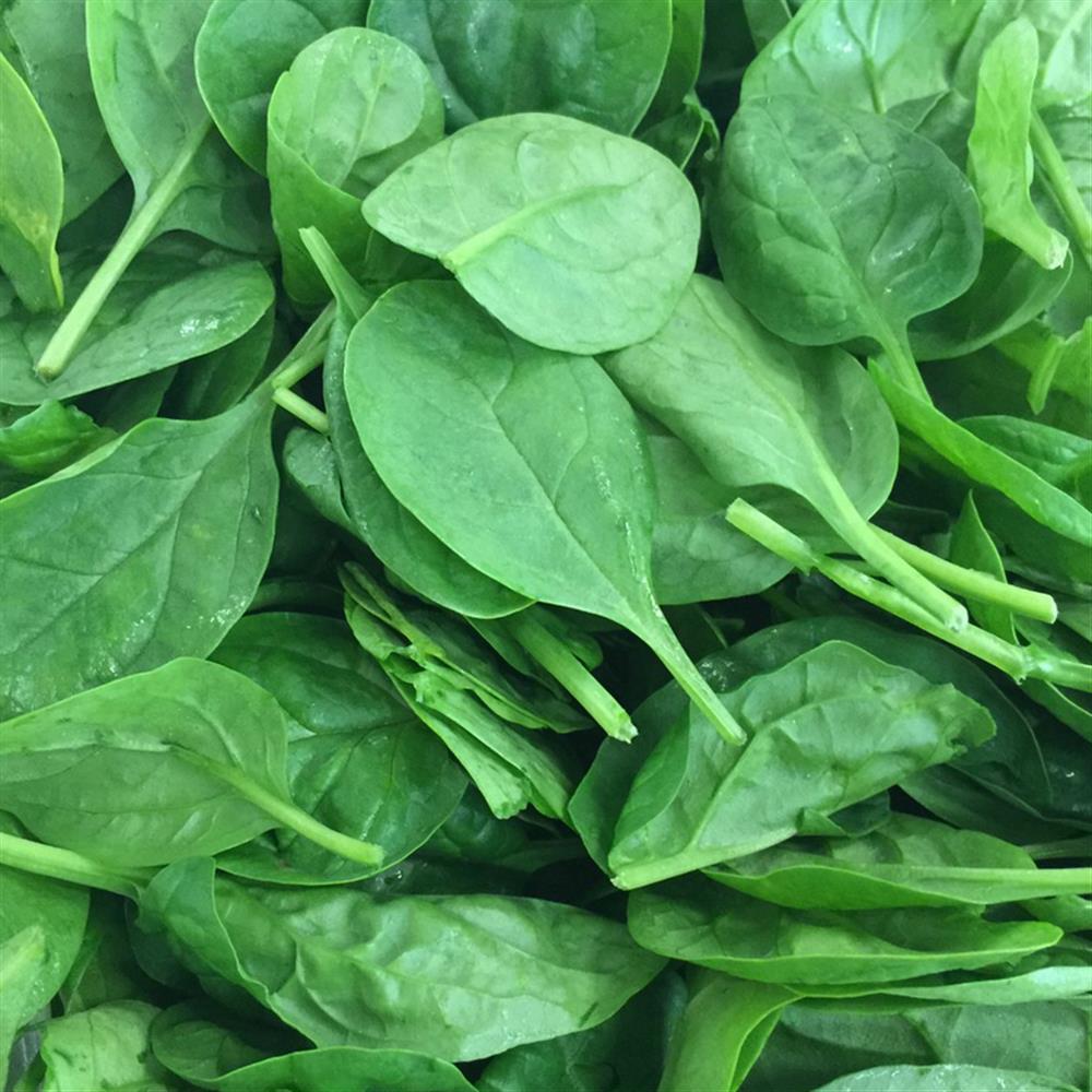 Spinach, Baby