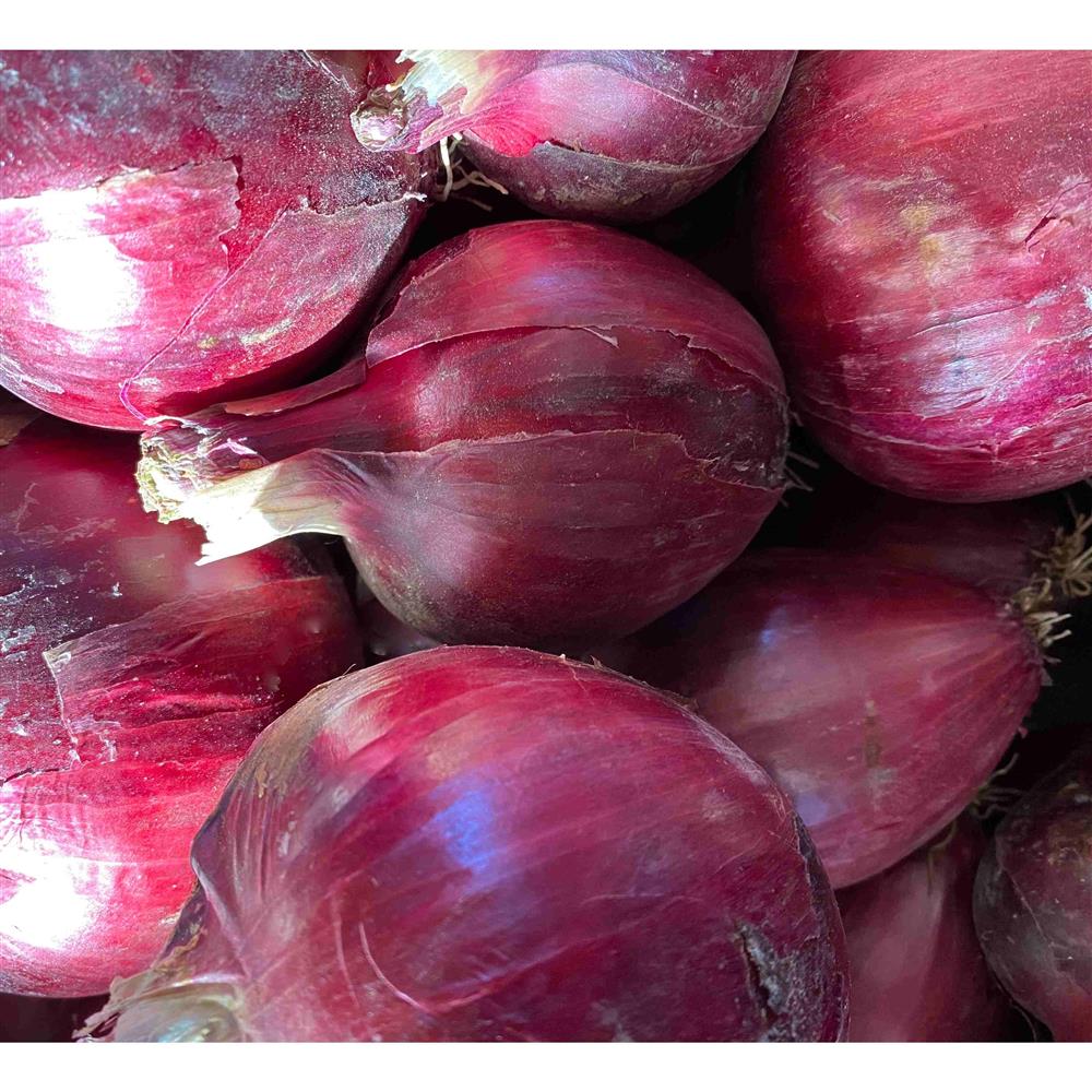 A close view of red onions.