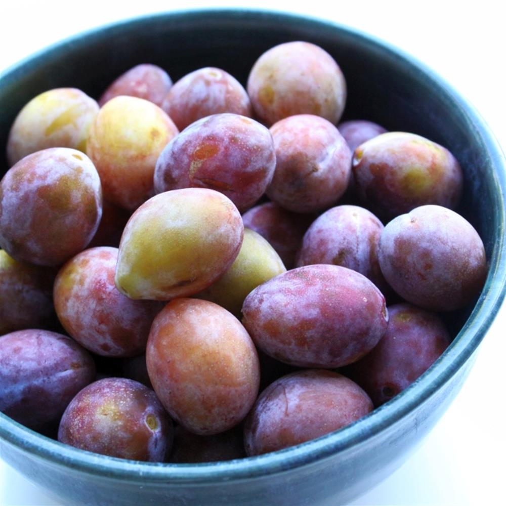 Plums, Sugar Prune