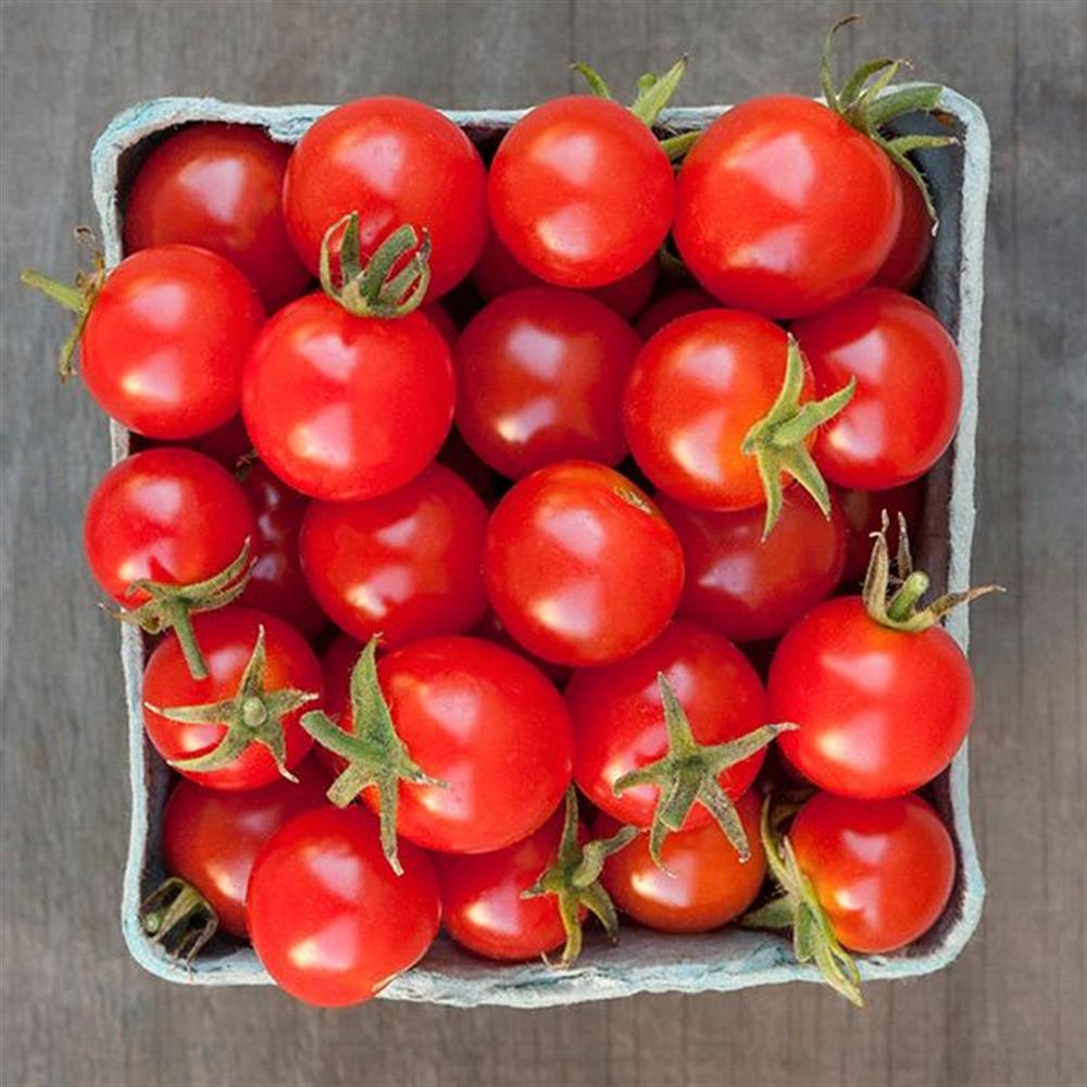 Tomatoes, Cherry Red