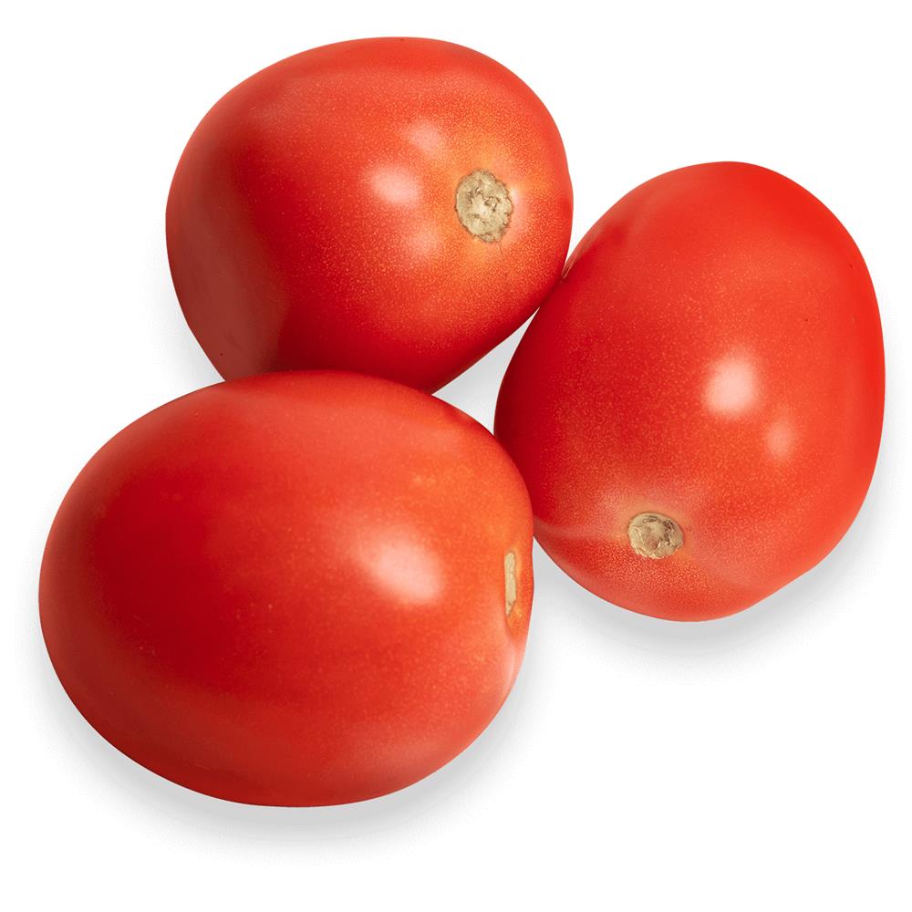 Tomatoes, Roma